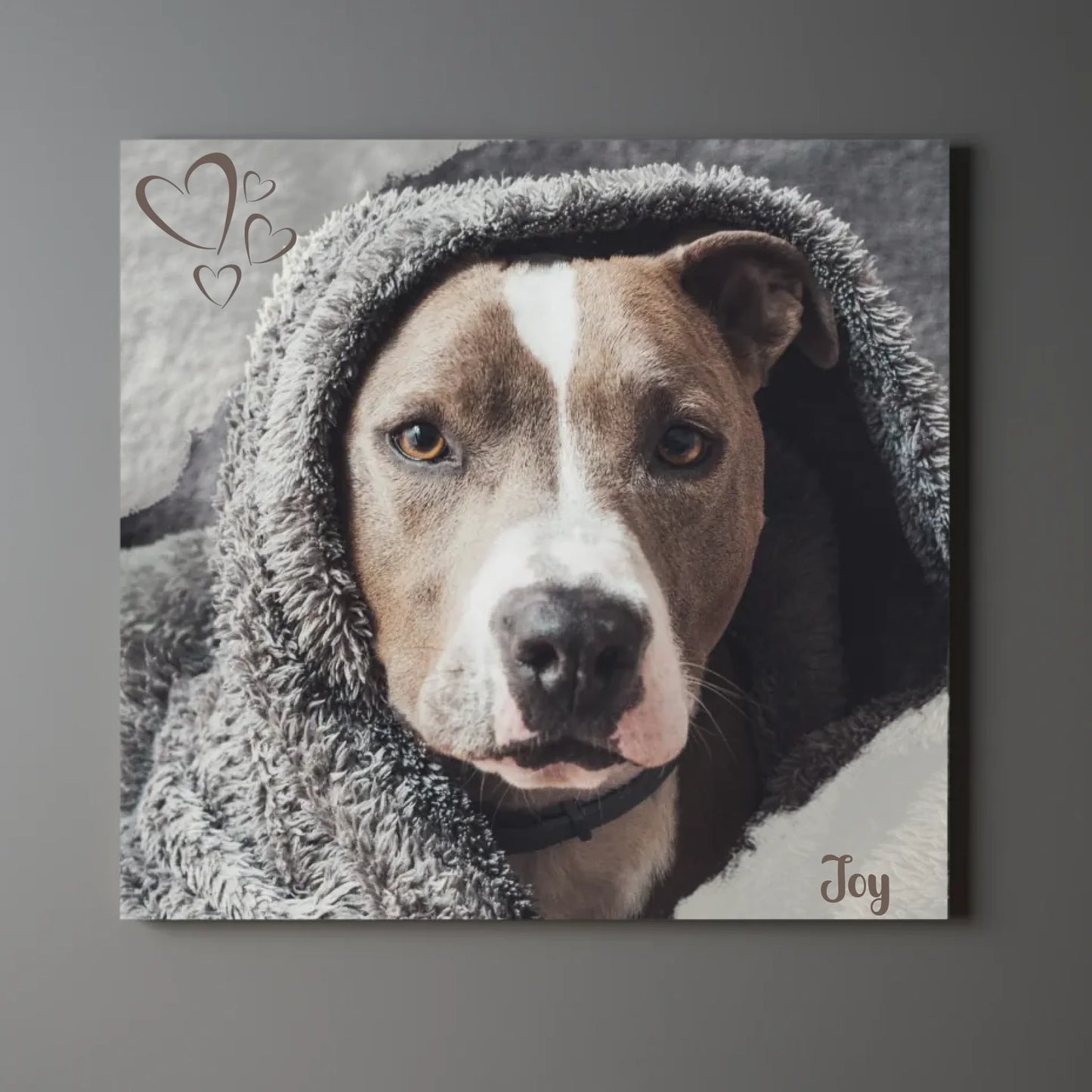 Personalisierte Leinwand mit einem Hund, eingehüllt in eine Decke, emotionales Haustierporträt in quadratischem Format.