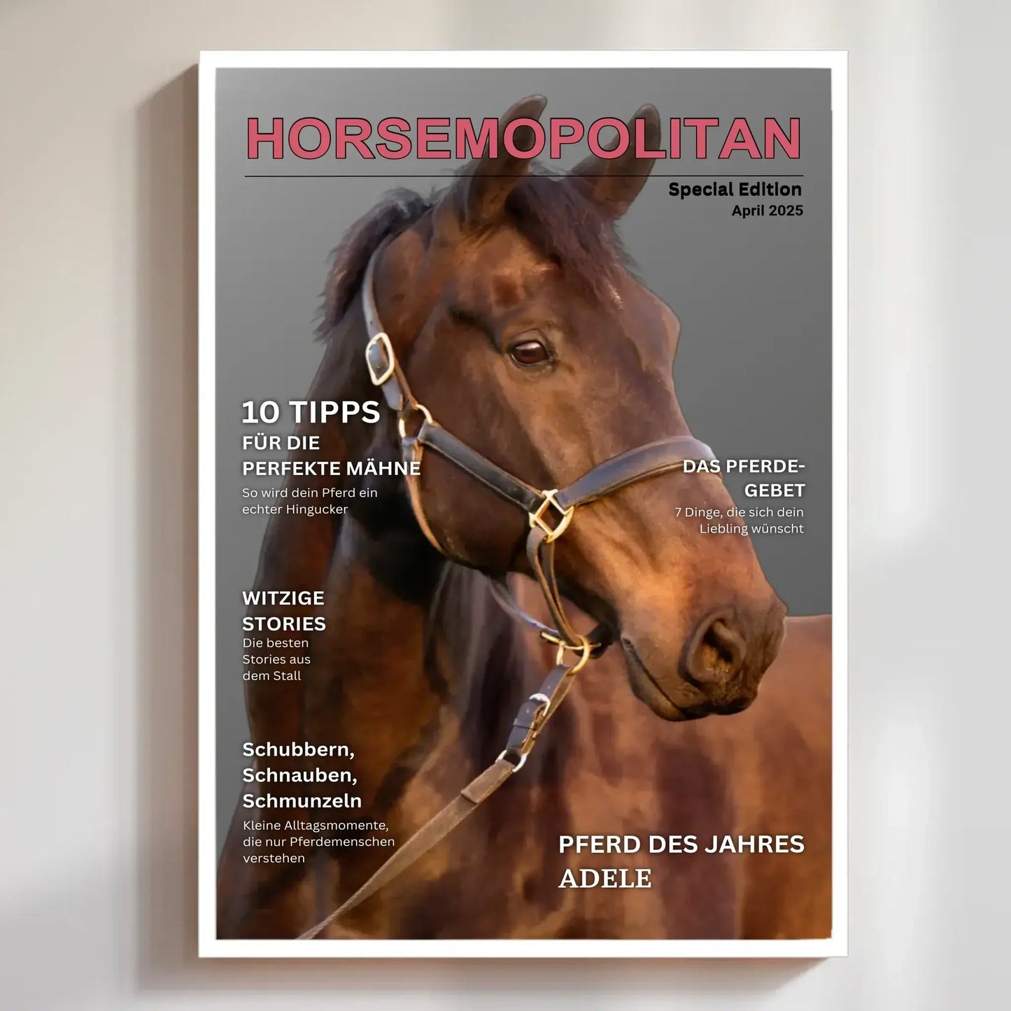 humorvolles pferdemagazin als poster – pferdefoto mit eigenen Bild und Texten gestalten