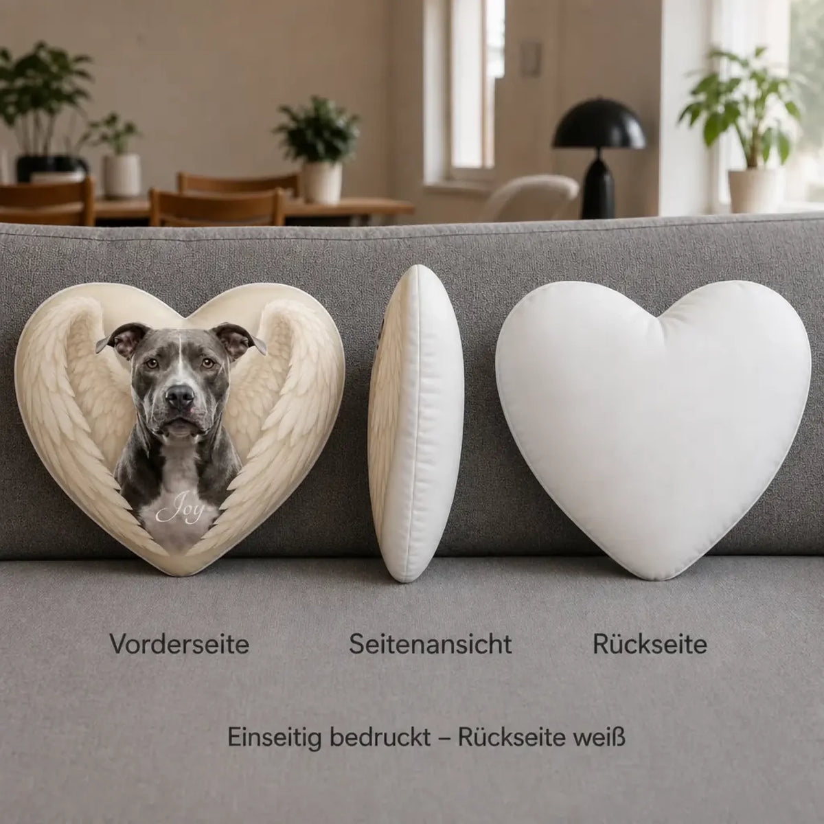 infobild_herz_ansichten_vorne-seite-hinten_1k