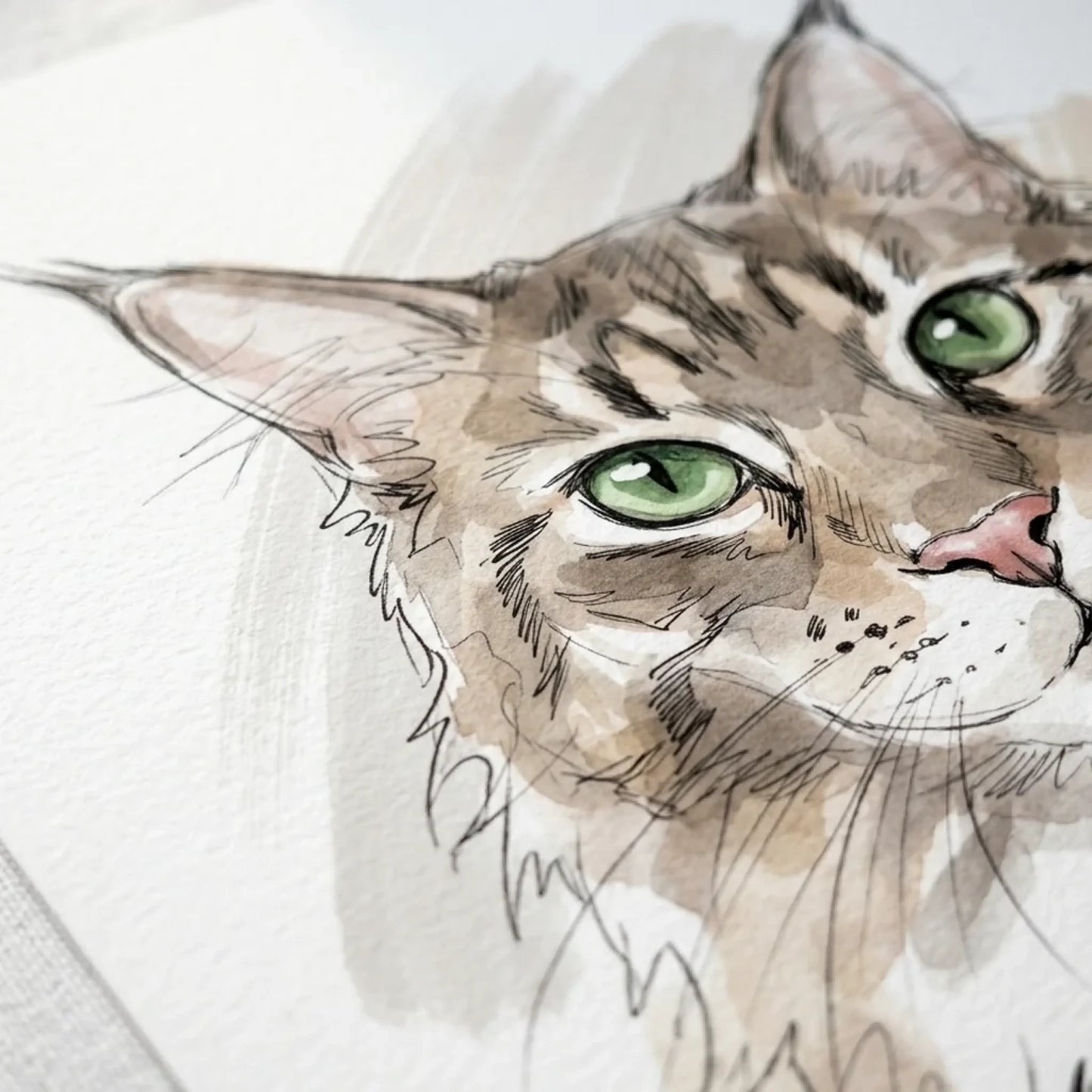 Nahaufnahme des Aquarell-Drucks: getigerte Katze mit grünen Augen, feine Bleistiftlinie auf mattem Papier