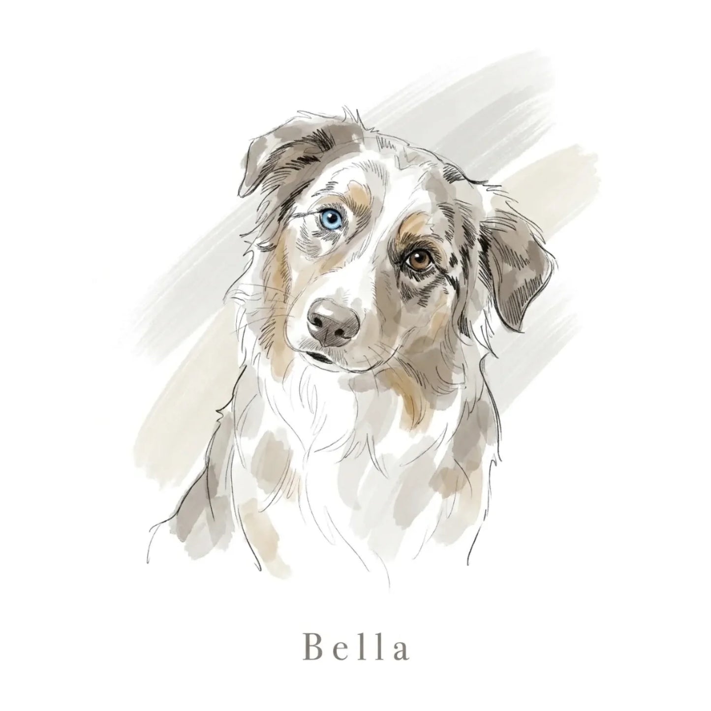 Tierportrait im Aquarell-Stil ohne Rahmen: Australian Shepherd mit aufgedrucktem Namen