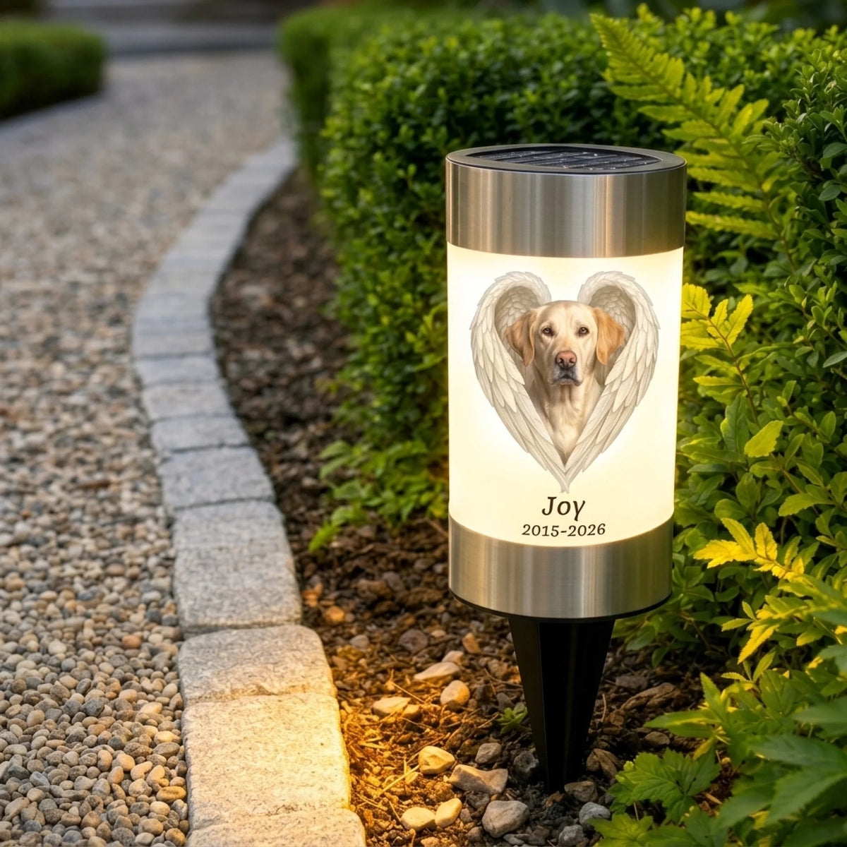 Lamp_shining_a_little_brighter_202609031705