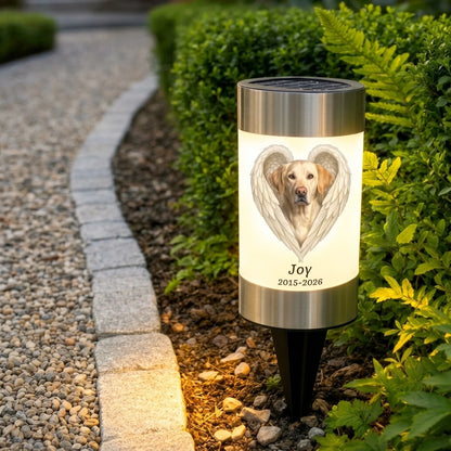 Lamp_shining_a_little_brighter_202609031705