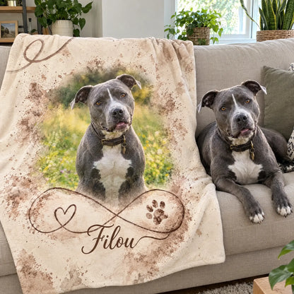 Kuscheldecke mit Foto vom eigenen Hund über dem Sofa, daneben der Hund, Unendlichkeitszeichen mit Namen